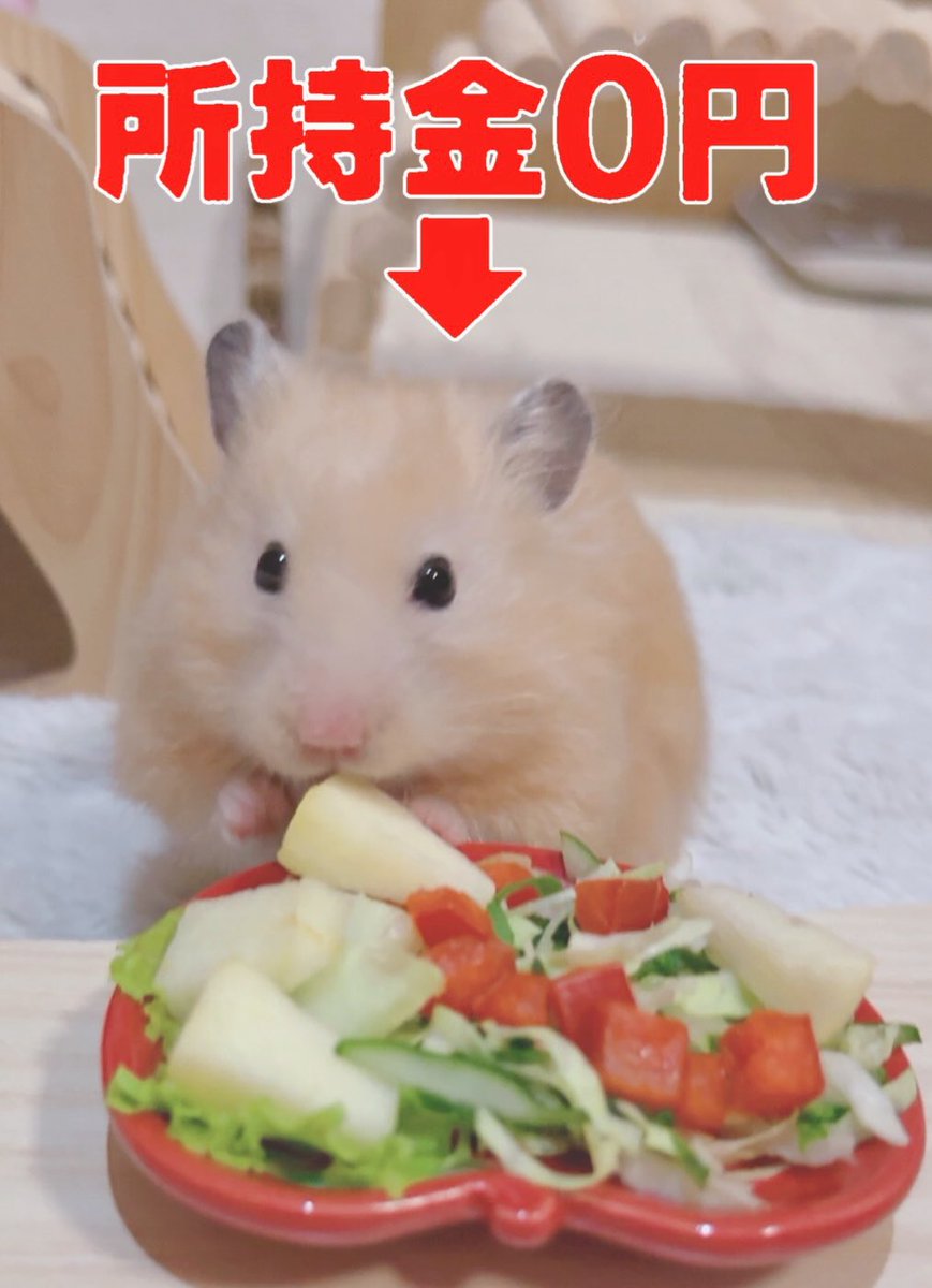 すず（りびちと暮らすﾆﾝｹﾞﾝ） (@bibiribibiribi) on Twitter photo 