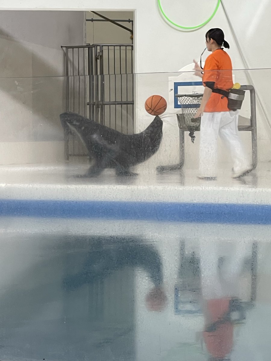 PppMegu's tweet photo. 旦那と2人で登別第一滝本に2泊連泊して、マリンパークとクマ牧場行って来ました😊
楽しかったし、ゆっくりしてきましたよー。
結婚32年子供達にも気を使わない旅でした😆
もちろん温泉街の貴泉堂さんにも立ち寄りましたが小町には会えなかったです😅残念

#登別
#夫婦2人旅 https://t.co/cgwkuyNm6W
