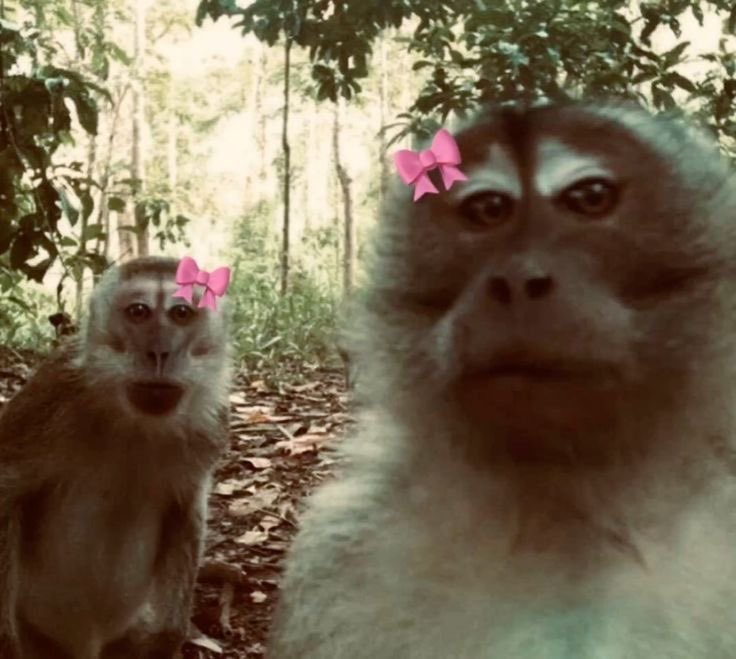 ~HAPPY BIRTHDAY DRISHH💕~
                @butternaan49 ❤️