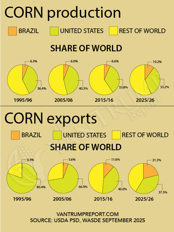 Kevin Van Trump tweet media