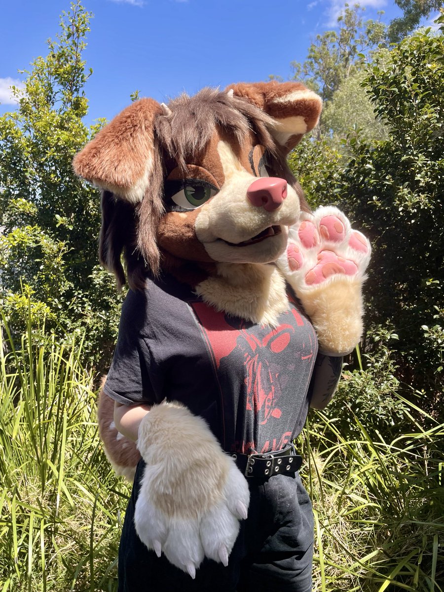 sarah⭐️➡️ FurDU, Aurawra, PAWAI tweet media