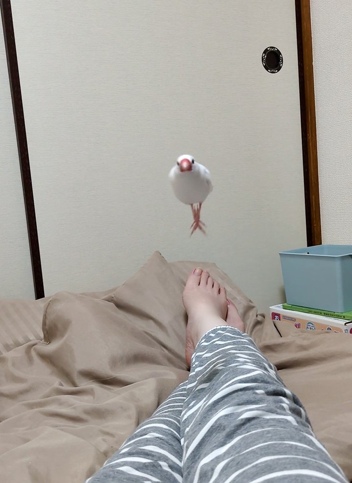 キター！