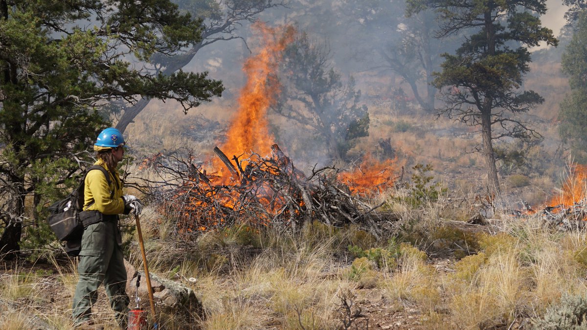 Carson National Forest tweet media