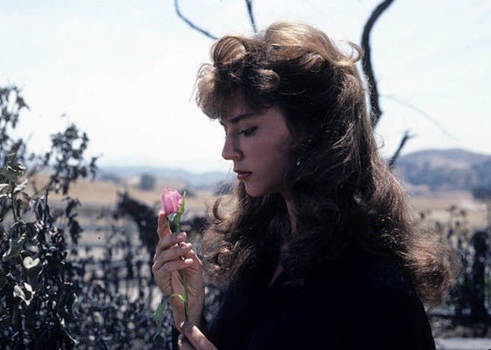 i (@isii9i) on Twitter photo 