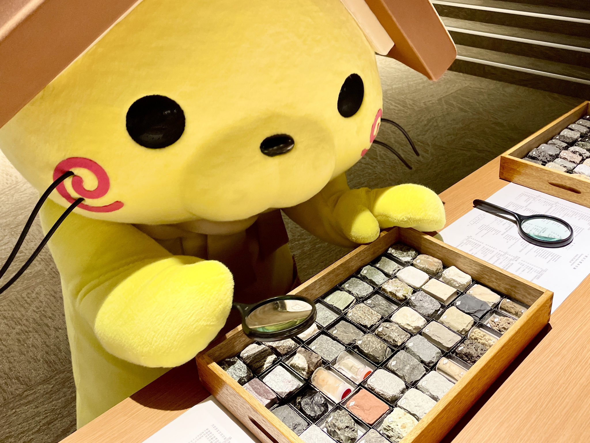 しまねっこ フィギュア ご当地キャラクター Amazon.co.jp: 島根県観光キャラクター しまねっこ ご当地