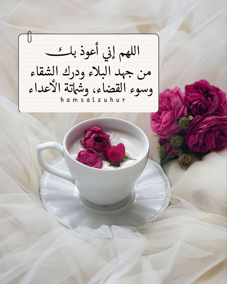 Amany (@am_ny0) on Twitter photo 