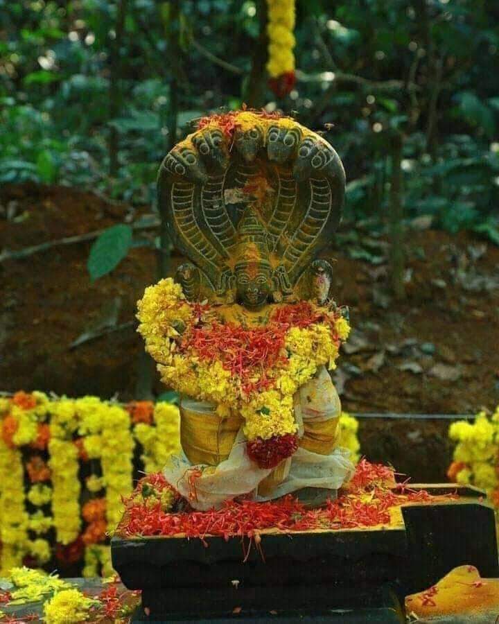 Kanni month ( malayalam )Ayilyam today 

Nagas are believed to be born on this day