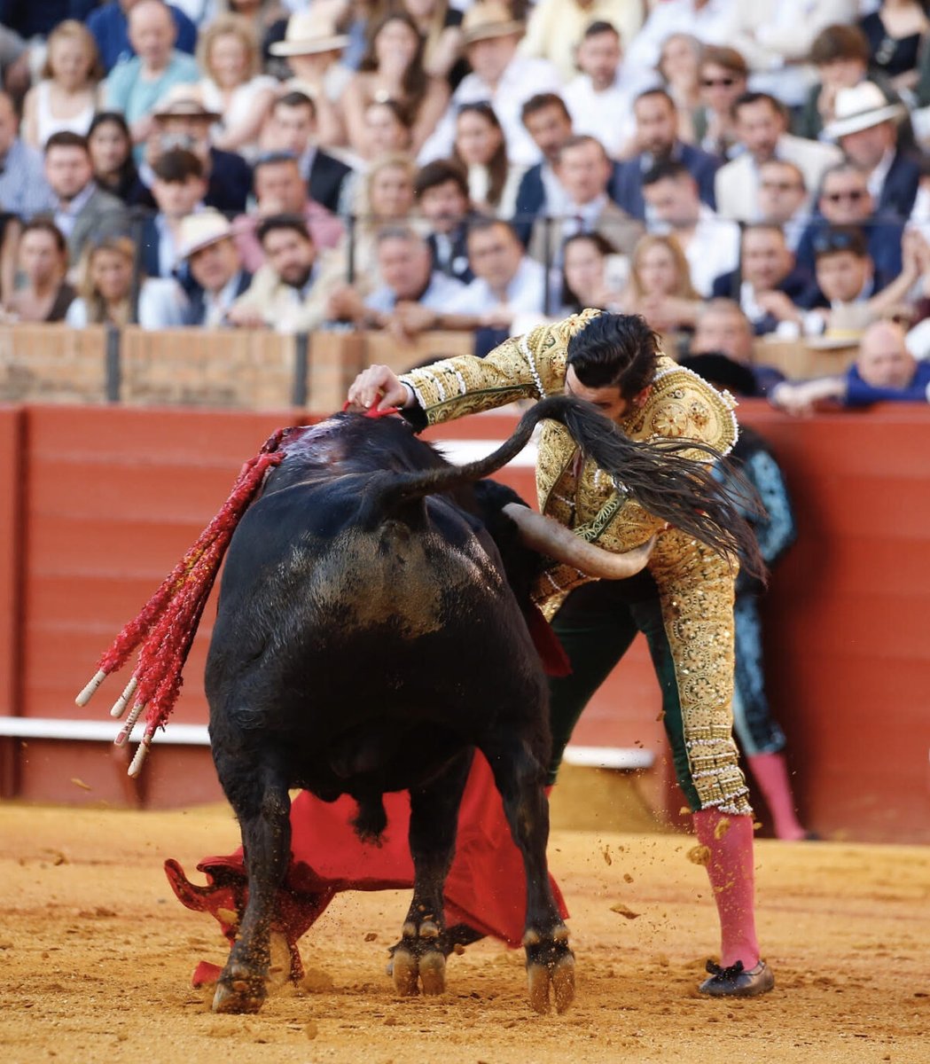 Manuel Martín Ciudad ✝️🇪🇦🇦🇷 tweet media