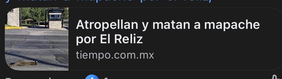 robjurado995's tweet photo. @Mapaxitouwu en pas descanse el xaparrito unu https://t.co/CfAtmpDFag