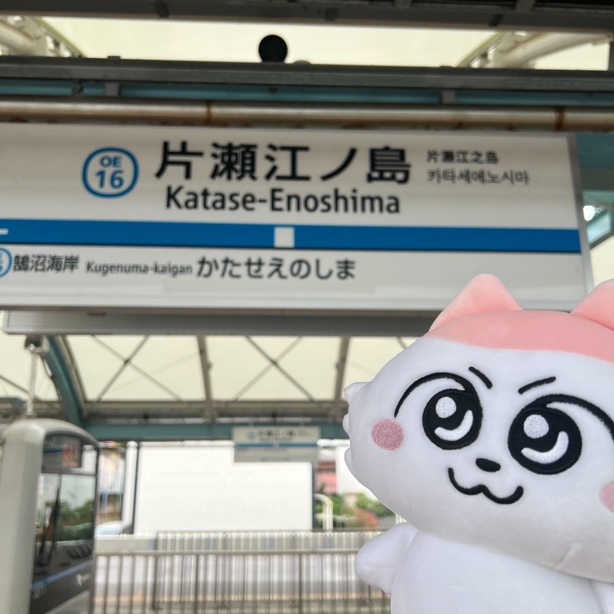 unextgoodsshop's tweet image. \\ ンめねこ ポップアップショップ by U-NEXT //

本日も皆さまのお越しをお待ちしております♪

最寄りは「小田急線の片瀬江ノ島駅」🏝
駅から徒歩５分🌟

江ノ島に遊びに行くついでにンめねこたちにも会いに来てね！！

#江の島 #江ノ島 #ンめねこ #うすくろ #UNEXT