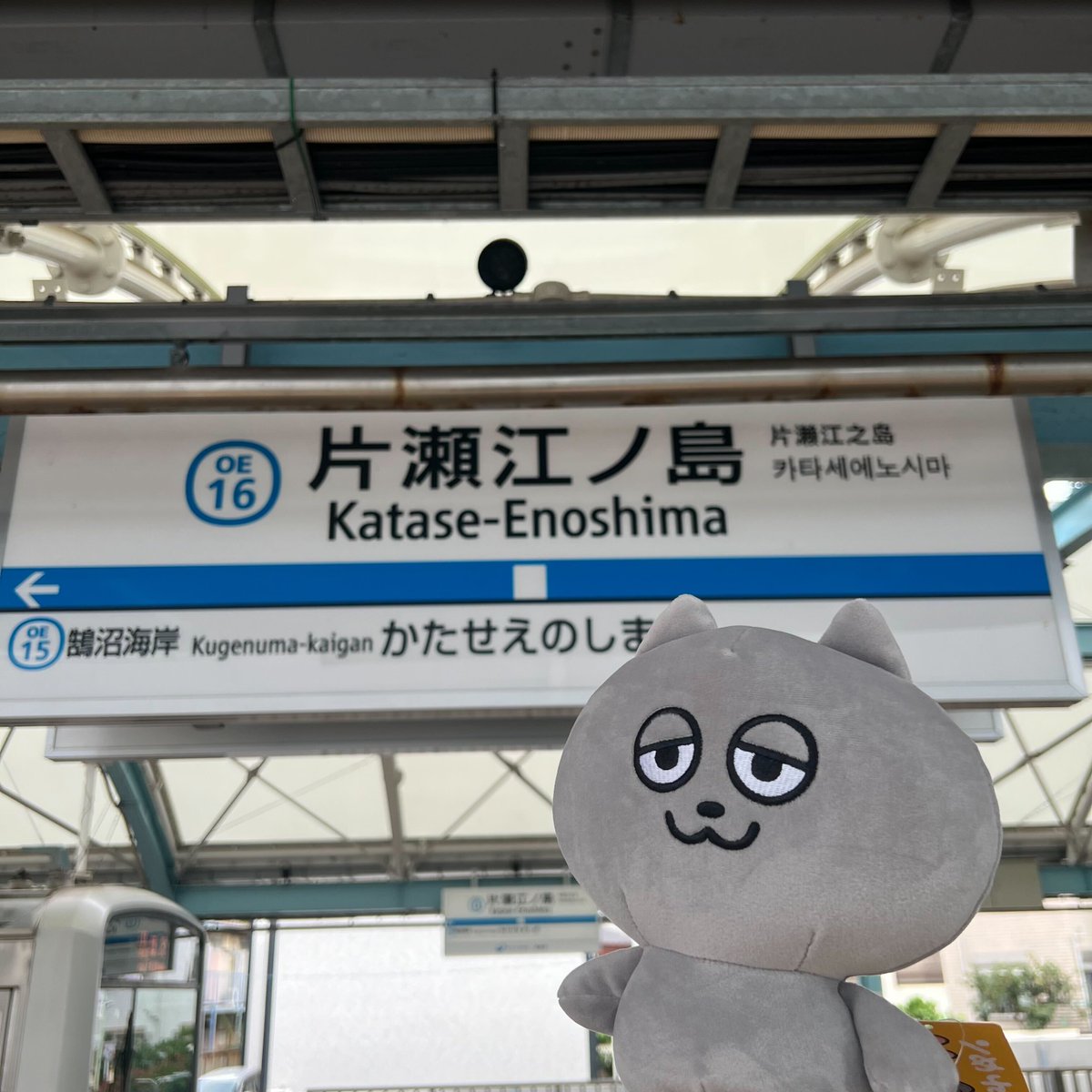 unextgoodsshop's tweet image. \\ ンめねこ ポップアップショップ by U-NEXT //

本日も皆さまのお越しをお待ちしております♪

最寄りは「小田急線の片瀬江ノ島駅」🏝
駅から徒歩５分🌟

江ノ島に遊びに行くついでにンめねこたちにも会いに来てね！！

#江の島 #江ノ島 #ンめねこ #うすくろ #UNEXT