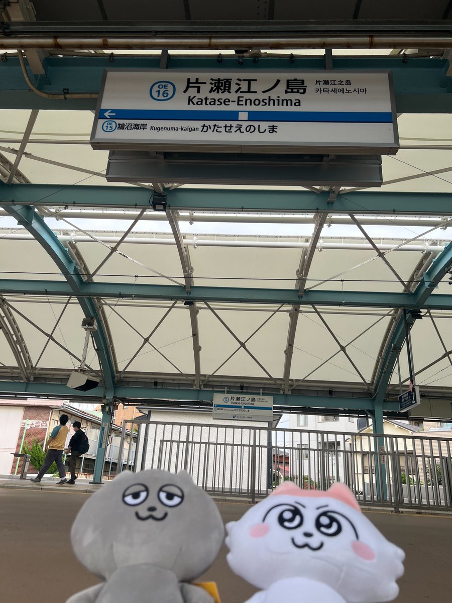 unextgoodsshop's tweet image. \\ ンめねこ ポップアップショップ by U-NEXT //

本日も皆さまのお越しをお待ちしております♪

最寄りは「小田急線の片瀬江ノ島駅」🏝
駅から徒歩５分🌟

江ノ島に遊びに行くついでにンめねこたちにも会いに来てね！！

#江の島 #江ノ島 #ンめねこ #うすくろ #UNEXT