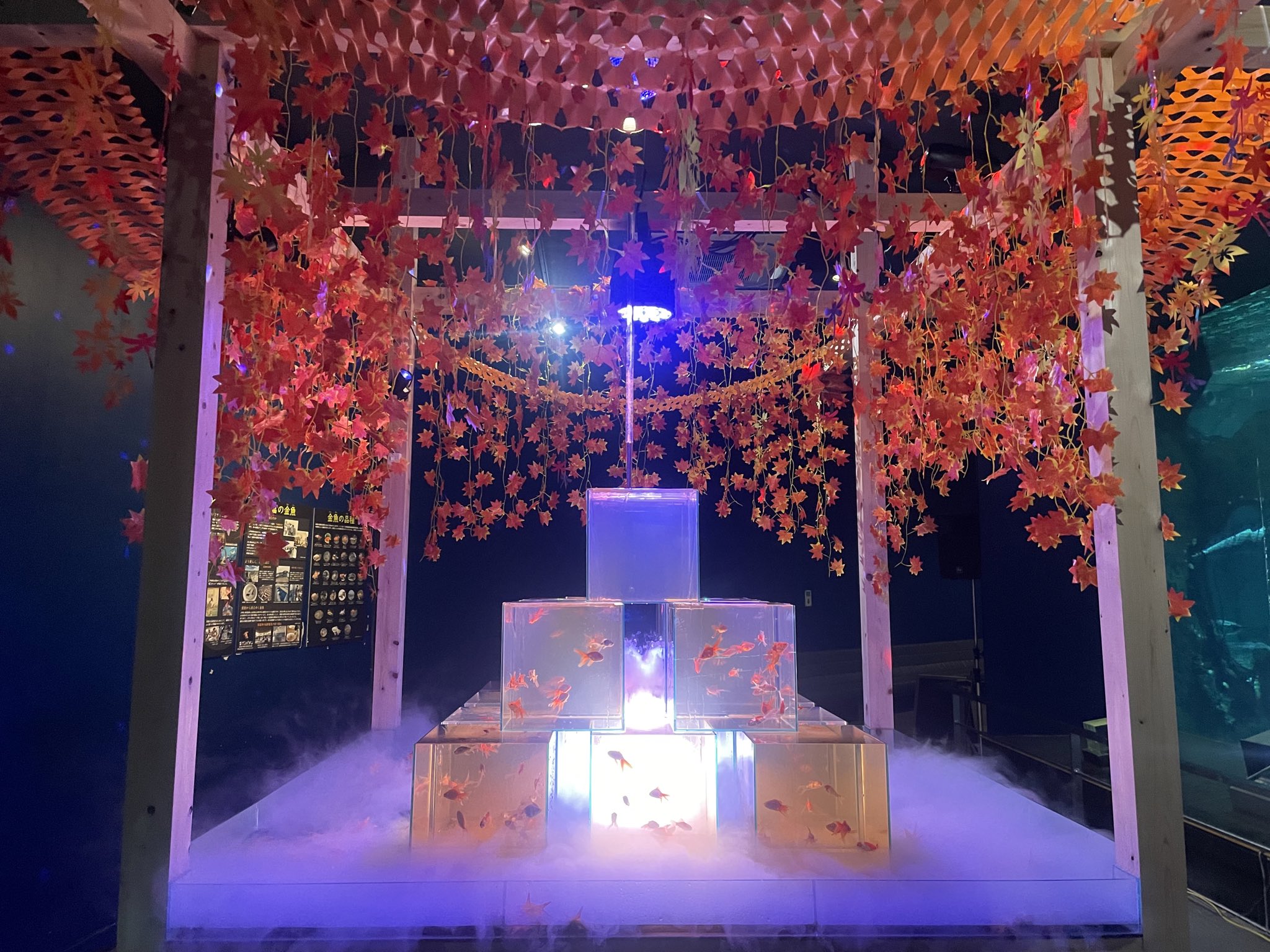 【最終値下げ】ご当地キティ 寝付け 南知多ビーチランド(レア)金のシャチホコ 最終値下げ】ご当地キティ 寝付け 南知多ビーチランド(レア)金の