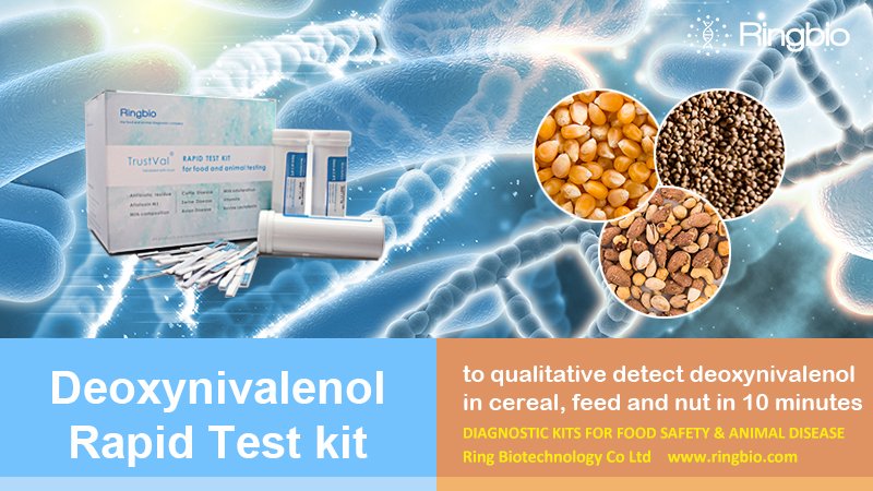 Ringbiotests's tweet photo. #Deoxynivalenol, also known as #vomitoxin, is a #fungal toxin in #food and is widely found in #barley, #wheat, and #corn.
#Ringbio's Deoxynivalenol Rapid Test Kit is used to detect Deo in #cereal, #feed and #nut in 10min.
Check here, https://t.co/LBKfUhm3A9
#feedtesting https://t.co/FUN78aayJw