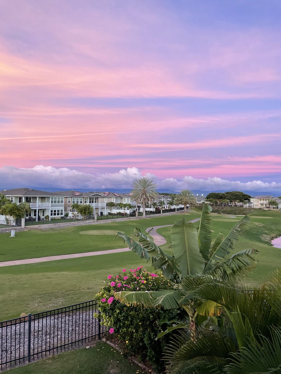 diamondheaddave's tweet image. Just Listed: 4 🛌 2.5 🛀 @TheBig_Easy Golf ⛳️ Course Home 🏠 in Gated Community with @_AuctionsWork Starting bid $1.2 Million

#justlisted #golfcourse #hoakalei #kipuka #harcourtsauctions