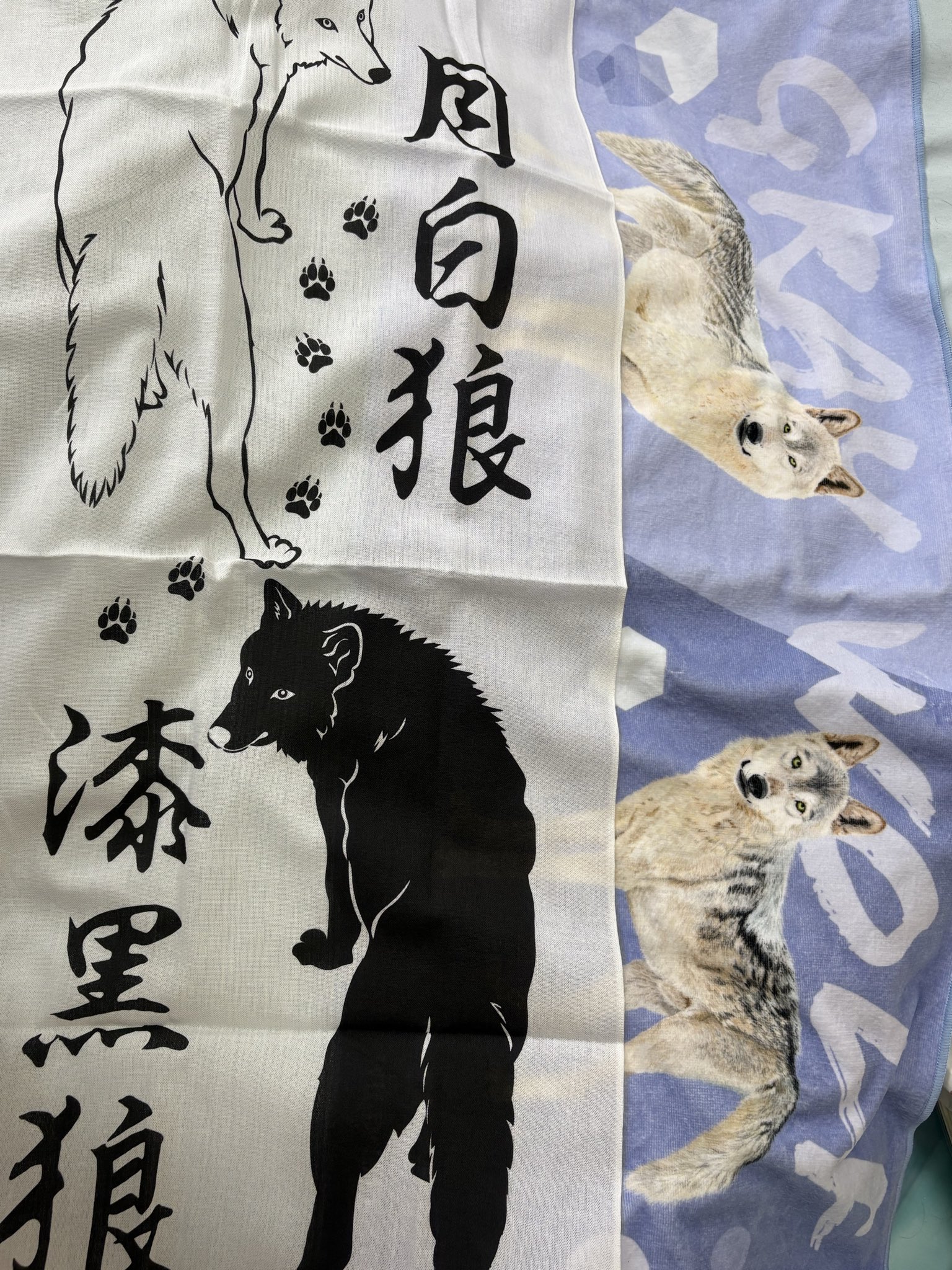 原画 オオカミ #108 ポストカード「オオカミ」 | 西野健太郎アートショップ