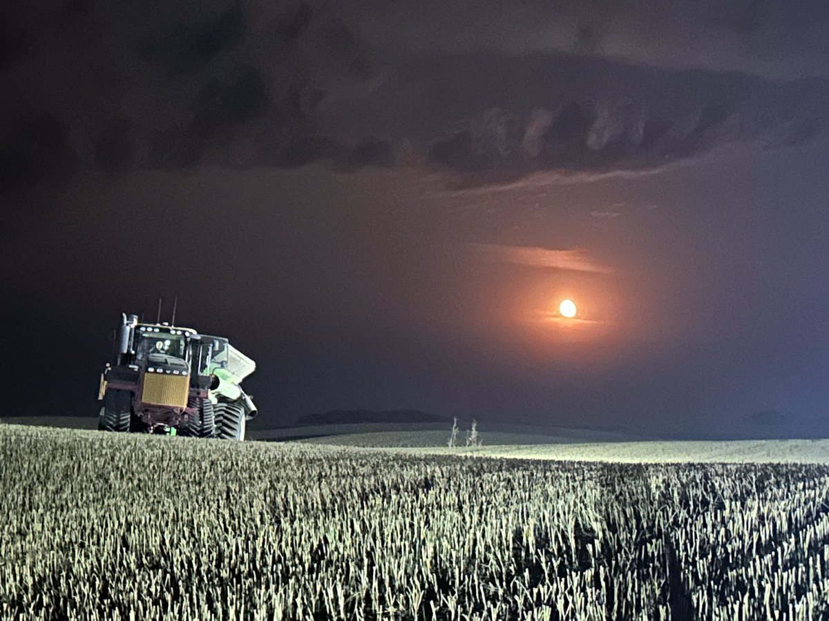 Tomas Arthur tweet media