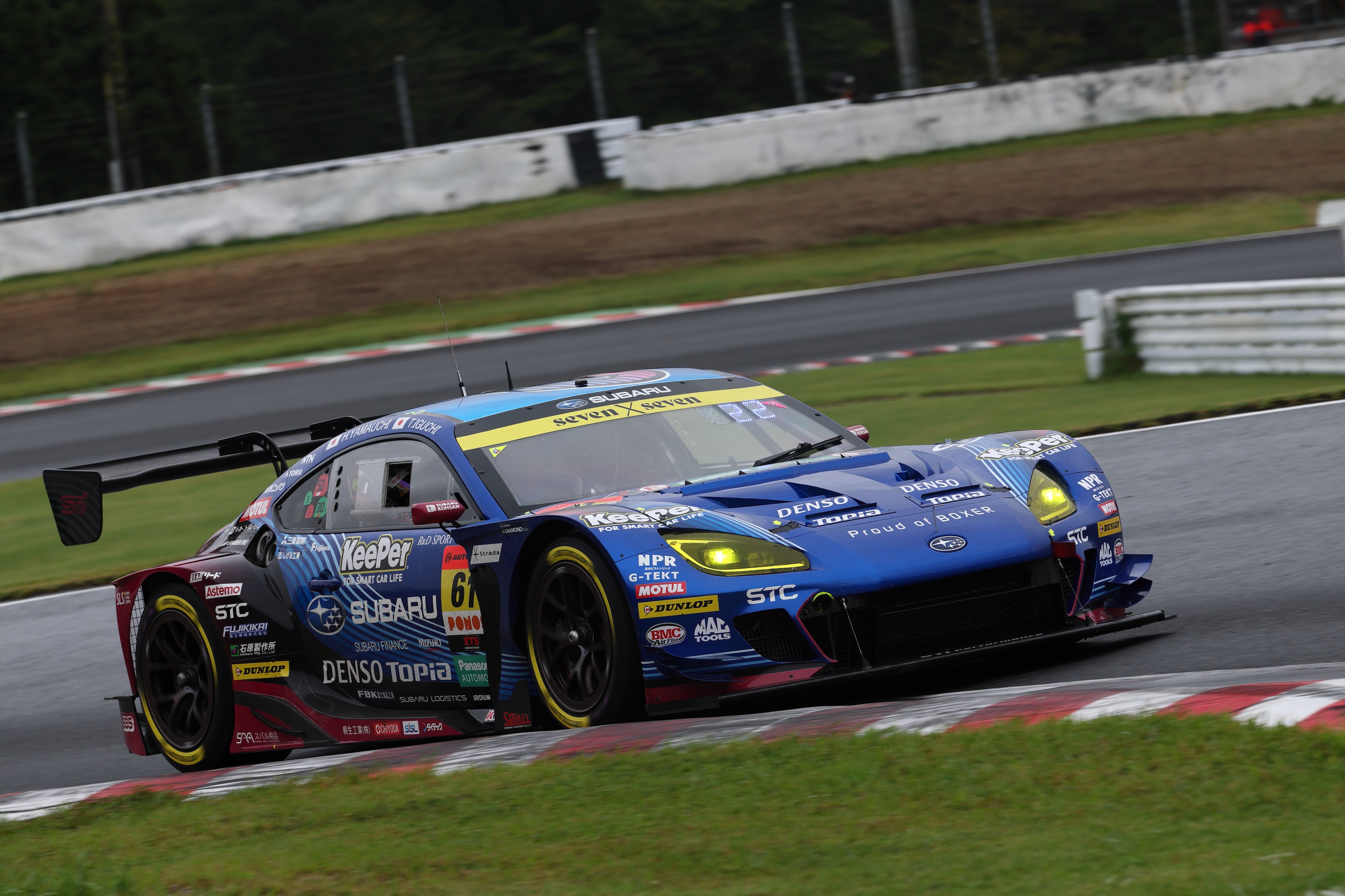 【サービス品@1280〜】ブルースカイ(七福神交配) サービス品@1280〜】ブルースカイ(七福神交配)