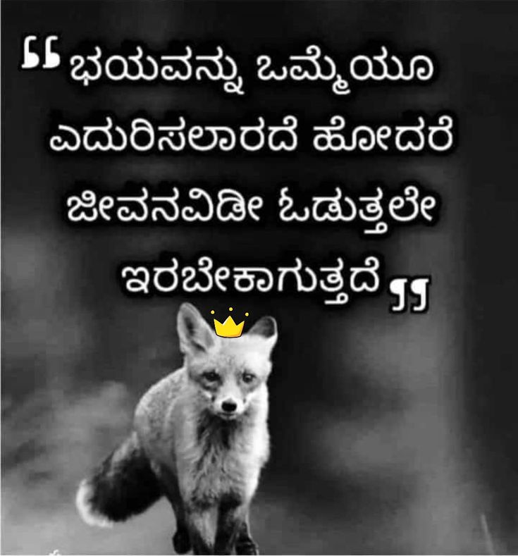 SVPatil_31's tweet image. ಭಯವನ್ನು ಒಮ್ಮೆಯೂ ಎದುರಿಸಲಾರದೆ ಹೋದರೆ ಜೀವನವಿಡಿ ಓಡುತ್ತಲೇ ಇರಬೇಕಾಗುತ್ತದೆ... 

#Attitude #LifeVibes #KannadaQuotes #PositiveVibes