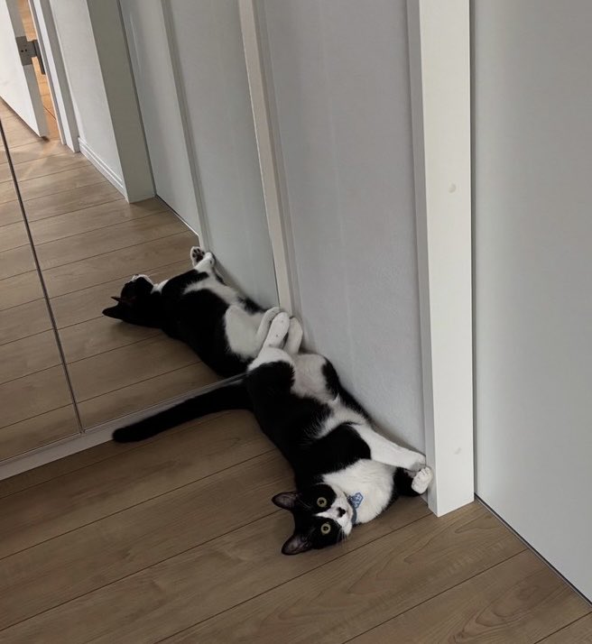 ami - fumiami - (@amitwinsworld) / Posts / X