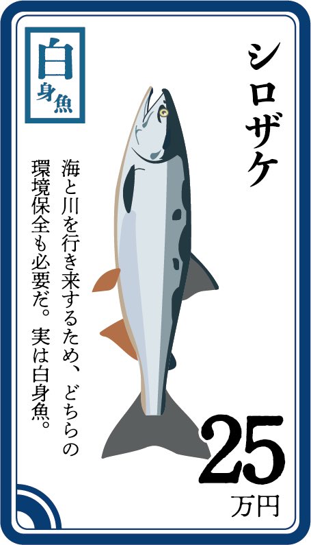 皆さんが大好きなサケ🐟は今年大変なことになってます‼️

もうおにぎり🍙も食べられないかも💦
過去最低を更新し続ける漁獲量、その理由は…⁉️

海のニュースがわかるようになる、漁業が学べるゲーム #今日僕が船を出さない理由 は #ゲムマ2025秋 #いきもにあ2025 で出展します！！