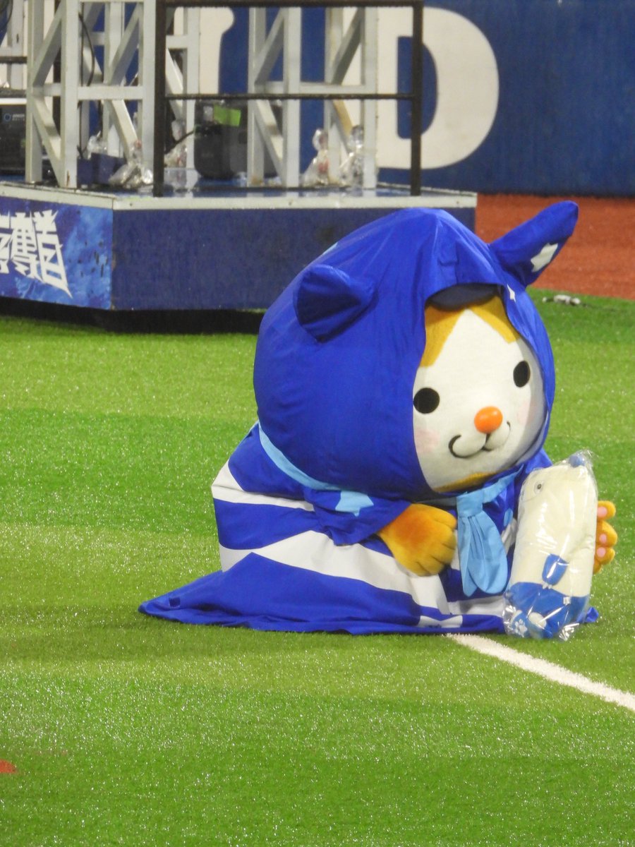 hcpppi's tweet image. ぬ
#スターマン
#baystars️️️️