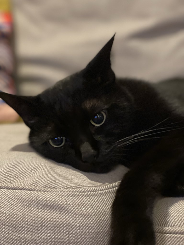 木野聡子 | Akiko Kino (@a_kinokino) / Posts / X