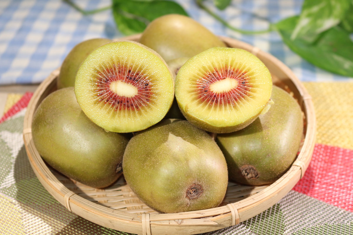 🥝強い甘みが魅力🥝 伊東市産キウイフルーツ「レインボーレッド」の