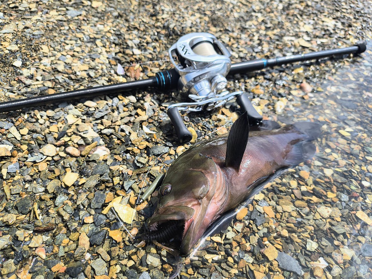 Yuki (@yuki530931) / Posts / X