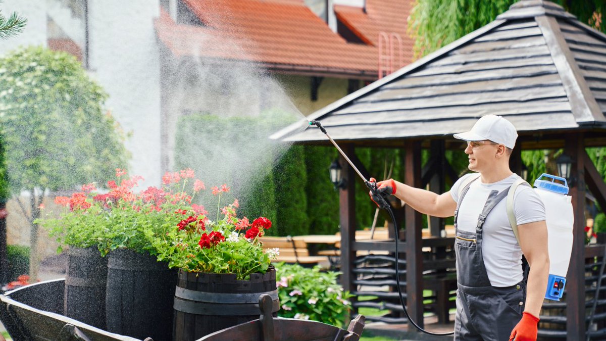MPNerds's tweet image. 🌱🐾🎉 Seasonal services are no longer just seasonal! From gardening and holiday décor to pet care and event planning, 2025 is proving that what used to be a few months of demand has turned into a year-round opportunity. 🚀

👉mypremiumservice.com/blogs/view/112…

#MPS #SeasonalServices