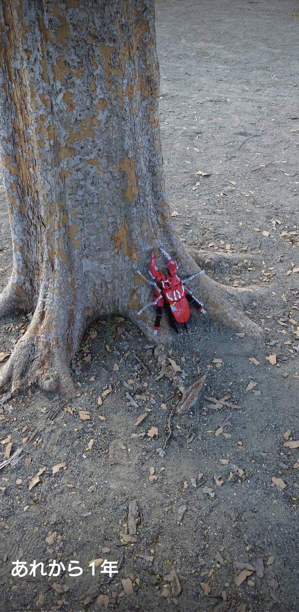 小山圭太 (@shantai17179) on Twitter photo 