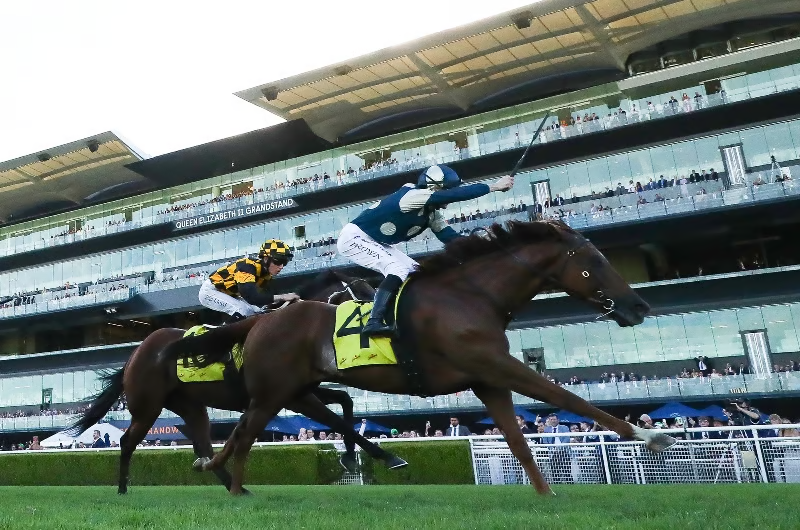 bets_comau's tweet image. “That bond, when you and a horse click with each other, it’s special.”

@RacingPedigrees @Brown_ethan8 @cmaherracing @aus_turf_club 

Ethan Brown opens up on recovery, resilience &amp;amp; The Everest climb 👇

bets.com.au/racing-news/et…