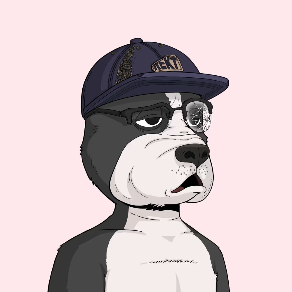 Javi🥥.eth tweet media