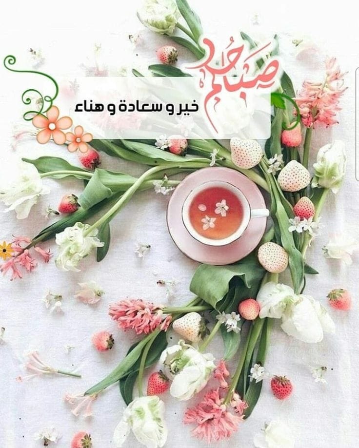 صباحكم هنا وعافية احبتي الكرام .. 🌺