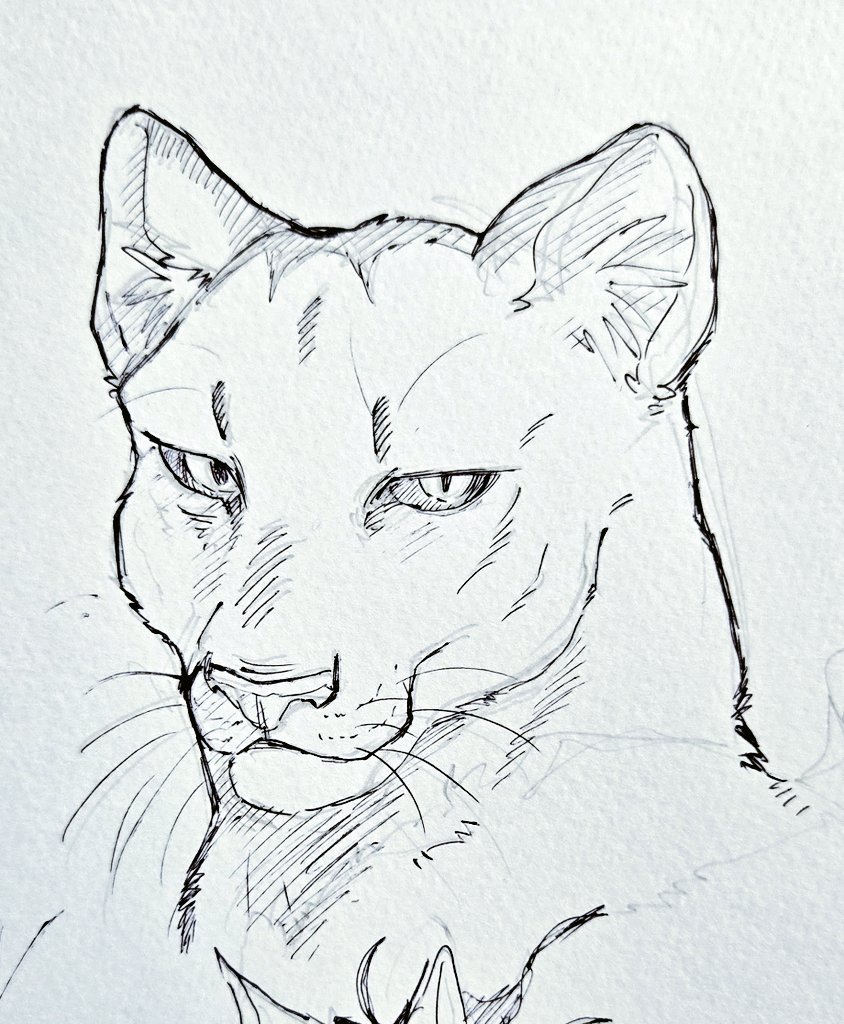 はる (@cookie0399) on Twitter photo 