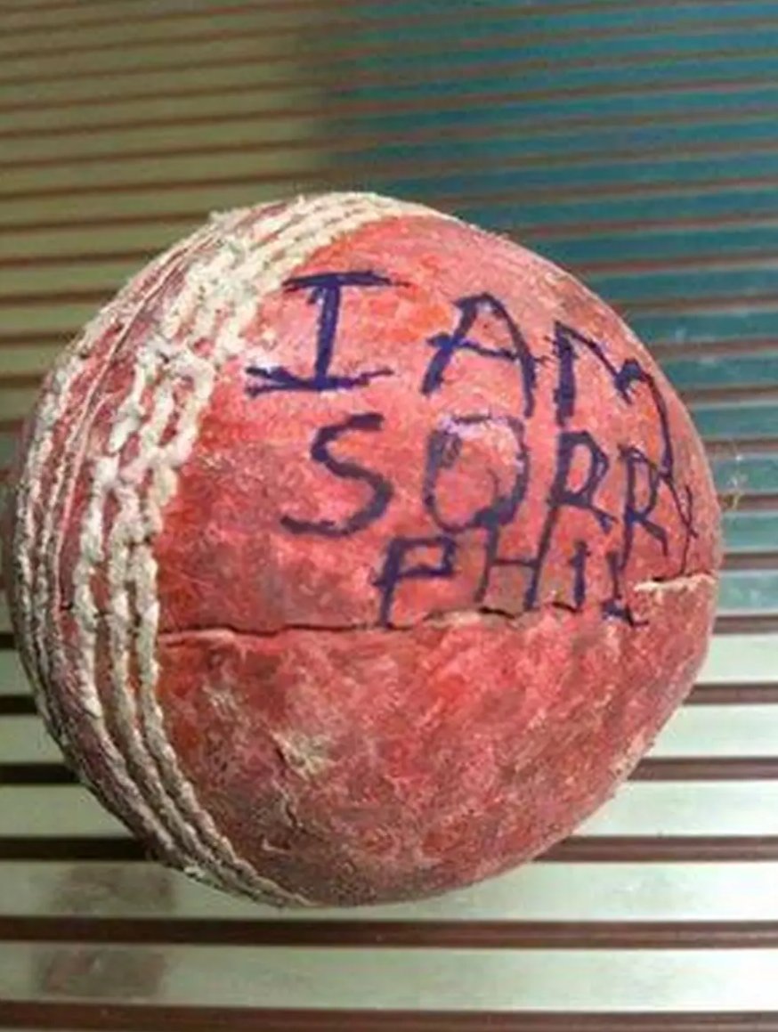 Incognitocric's tweet image. Not a Normal cricket Ball 😢💔