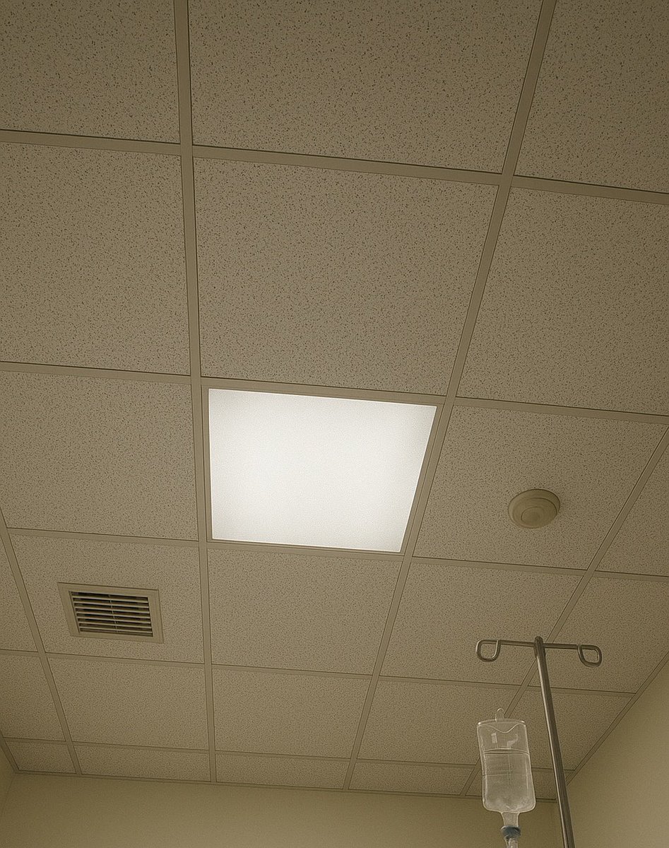 うをのめをぎん tweet media