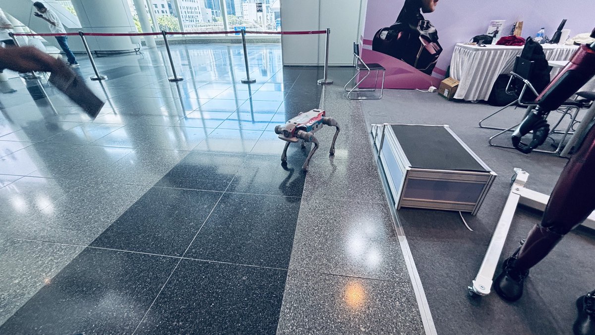 knnkanda's tweet image. 正しい、犬型ロボットの使い方!
恐竜にすれば途端に可愛くなる!
ジャングリアでぜひ!