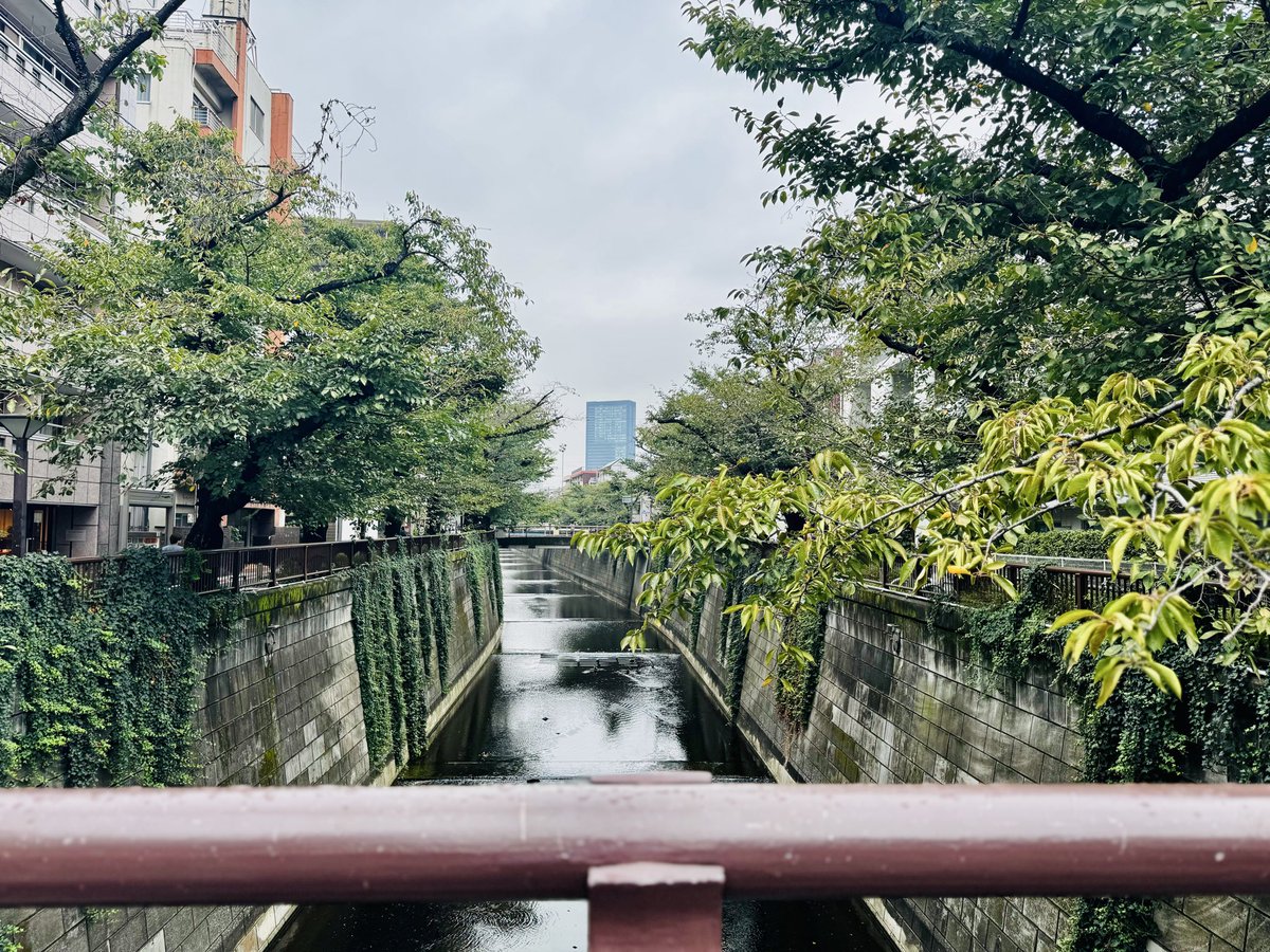 yuusaku_buddica's tweet photo. 多くの方が「身体を休める＝横になること」と思われていますが、実際はそれだけでは回復しないと感じています。食後のお昼寝より散歩がいいかもしれません。

僕も以前は、疲れたらまず横になるタイプでしたが、どれだけ寝ても疲れが抜けない時期があって、そこから“休むとは何か”を見直すように色々試すようになりました。

結論から言うと、本当の休息は“止まること”ではなく、“整えること”だと感じてます。

仕事も同じで、走り続けるには「動かないこと」ではなく、状態に合わせて「正しい行動を取ること」が大切だと思います。

僕が実践しているのは、いわゆる“アクティブレスト（積極的休養）”です。軽い運動をして血流を促し、身体をほぐし、神経を整える。

具体的には、夜寝る前のストレッチ、朝のウォーキング、立って会議、合間で常に肩を回して肩甲骨を動かします。

集中力がまったく違います。

身体を回復させるために、
僕が意識しているのは次の6つです。

① 軽い運動で血を巡らせる
（ウォーキングやストレッチ）
② 深い呼吸で自律神経を整える
（4秒吸って6秒吐く呼吸）
③ ミネラルと水分を摂る
（常温の水、マグネシウムを含む食材）
④ 質の高い睡眠をとる
（寝る90分前の入浴、スマホを置く）
⑤ 脳を休ませる時間を持つ
（散歩中の無音時間、日記で整理）
⑥ 朝日を浴びて体内時計を整える
（起床後10分以内に太陽浴）

どれも簡単です。
意識するだけで疲労感が軽くなりました。
頭がスッキリすると、仕事の判断も早くなり、気持ちにも余裕が生まれます。

頑張り続けている人ほど、「止まり方」が下手になっていきますが、長く走り続けるためには、“休み方の技術”が欠かせません。

僕もようやくそれに気づいて少しずつ生活を整えながら、心身のバランスを取り戻していますし、余裕が出たのでベースを高める為の高強度のトレーニングにもチャレンジしたいます。

“休む”というのは、意志のある行為です。
ただの「休憩」ではなく、「次の挑戦のための準備」だと僕は捉えています。

“アクティブレスト”
休む力も、成長の一部だと思います。