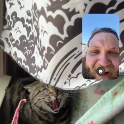 Spencer Kelly tweet media