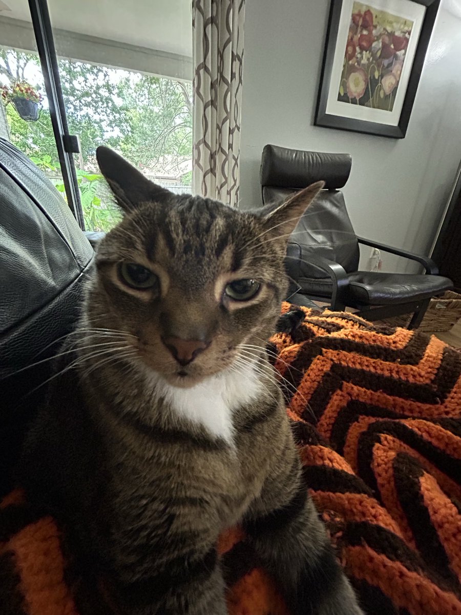 spencbert's tweet photo. why does he look like this https://t.co/Iii1r4m2eL