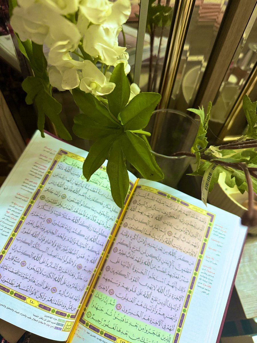 تذكّر دائما أنَّك في مجاهدة دائمة مع نفسك؛ تجاهدها حتى تُكمل أورادك، تجاهدها حتى تُحسن في عباداتك تجاهدها حتى لا تحيد عن الصراط المستقيم.
فإياك أن تنسى هذا الأمر، إياك أن تنسى أنّك مع بداية كل صباح فأنت بدأت معركة مع نفسك وشيطانك، فتأهَّب لهذه المعركة من بداية اليوم".