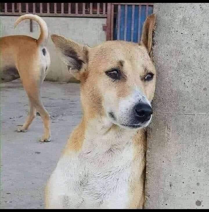 potterthedj06's tweet image. I feel like I've scared my soulmate away with the NONSENSE I be posting