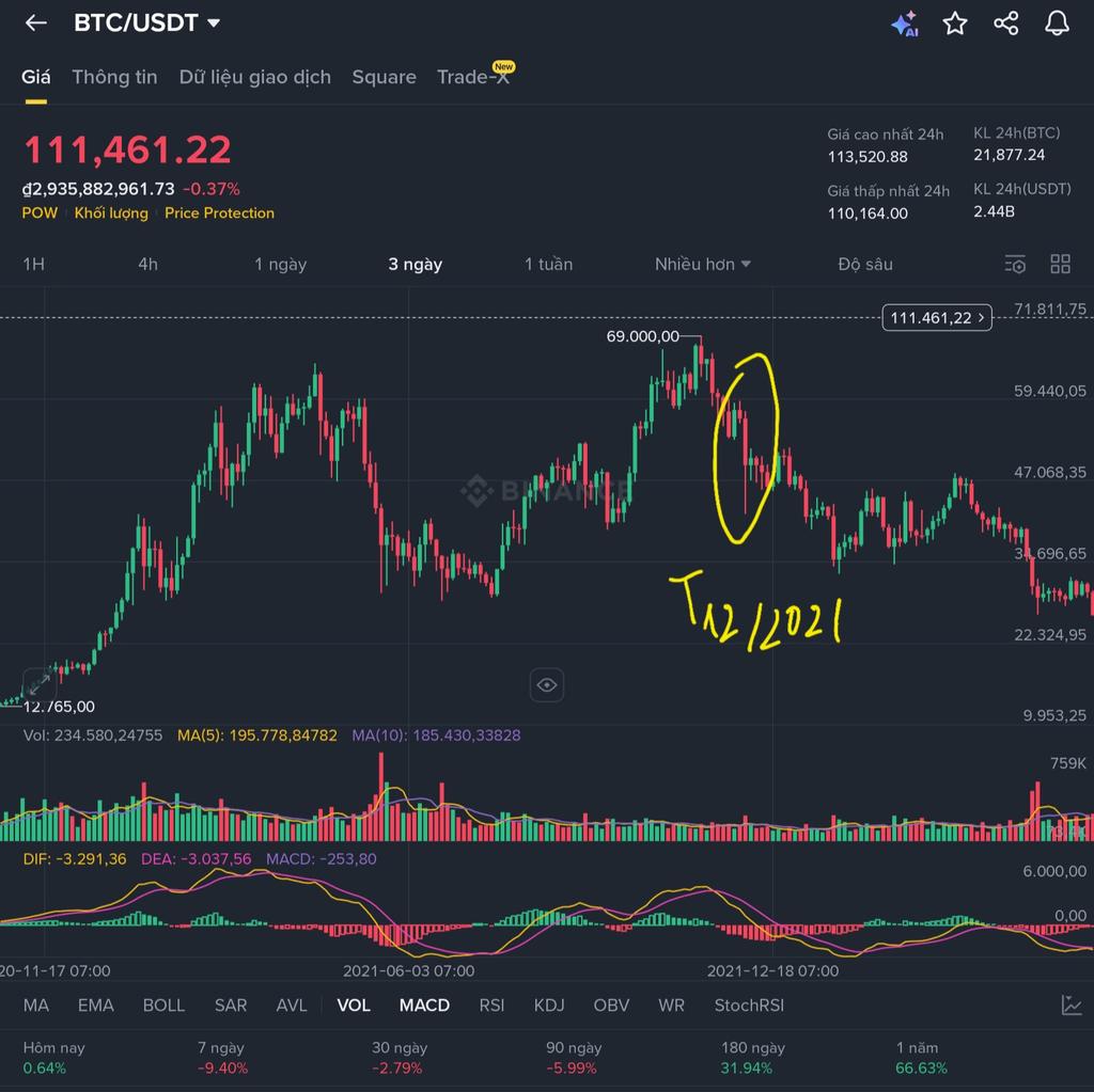 SummerMute tweet media