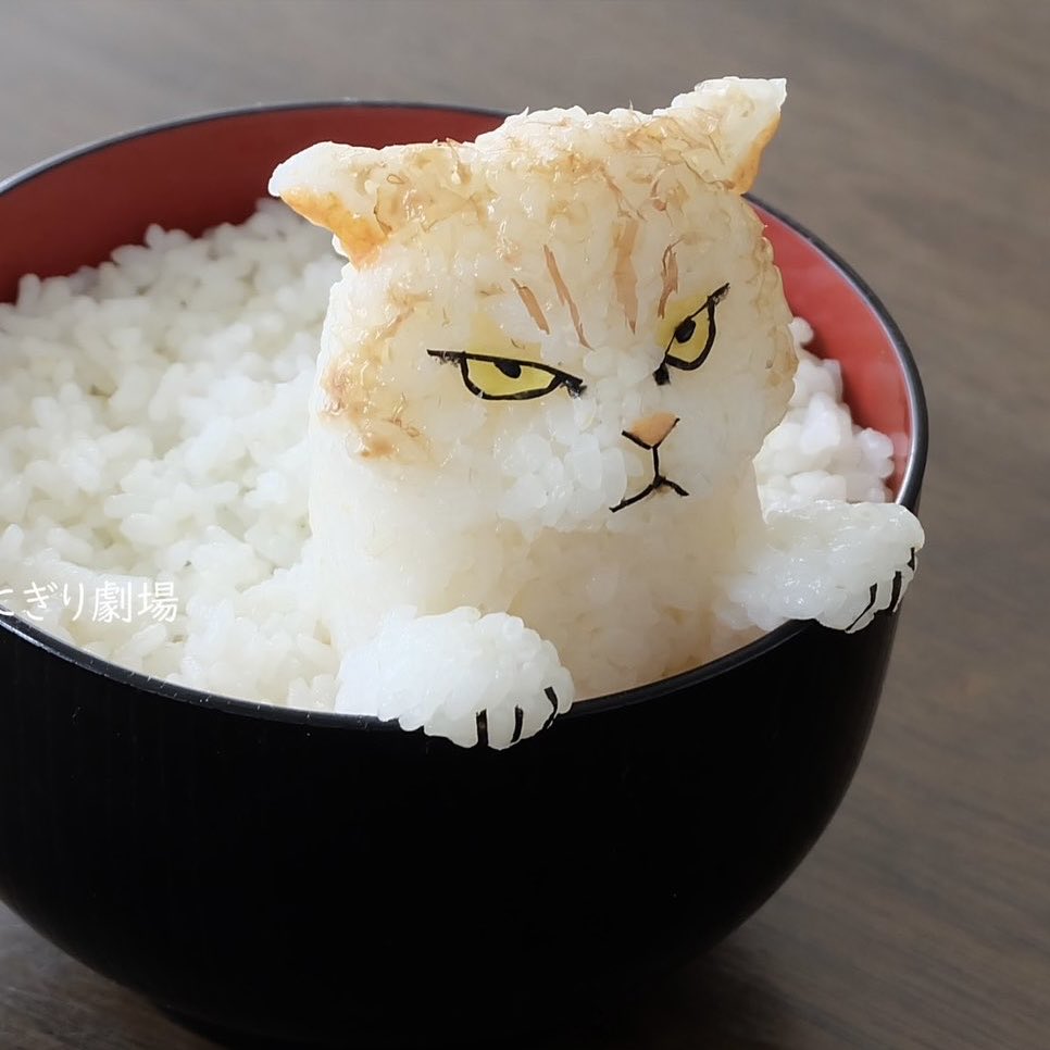 mZHtgivNQr33RCL's tweet photo. #猫かわいいね https://t.co/fQFABR3O6N