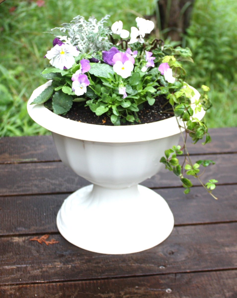 いなぎ市民まつりに向けて

🌺寄せ植え🌼作製中です