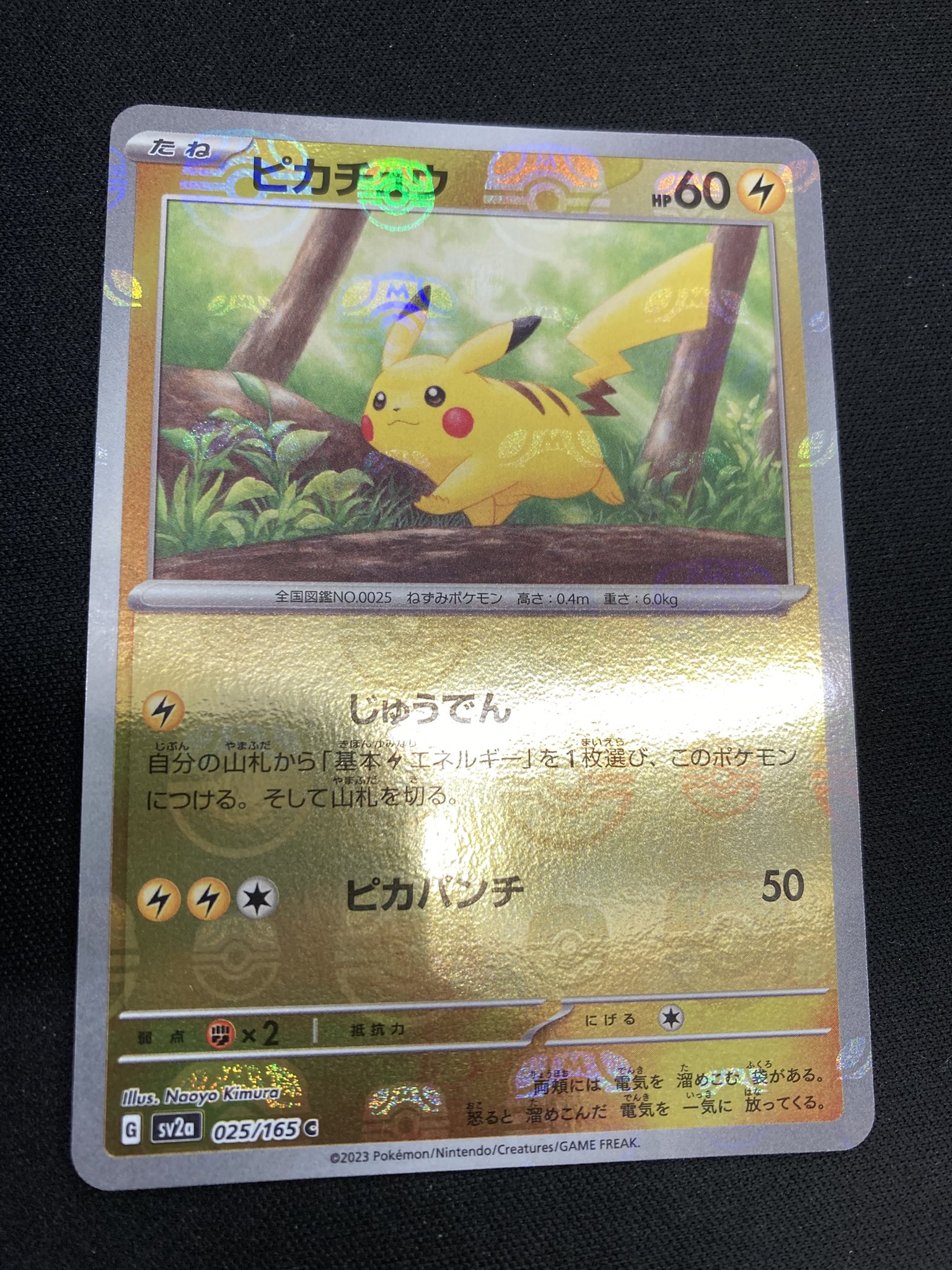 ピカチュウ マスターボール Bee本舗@大阪本店 on X: 