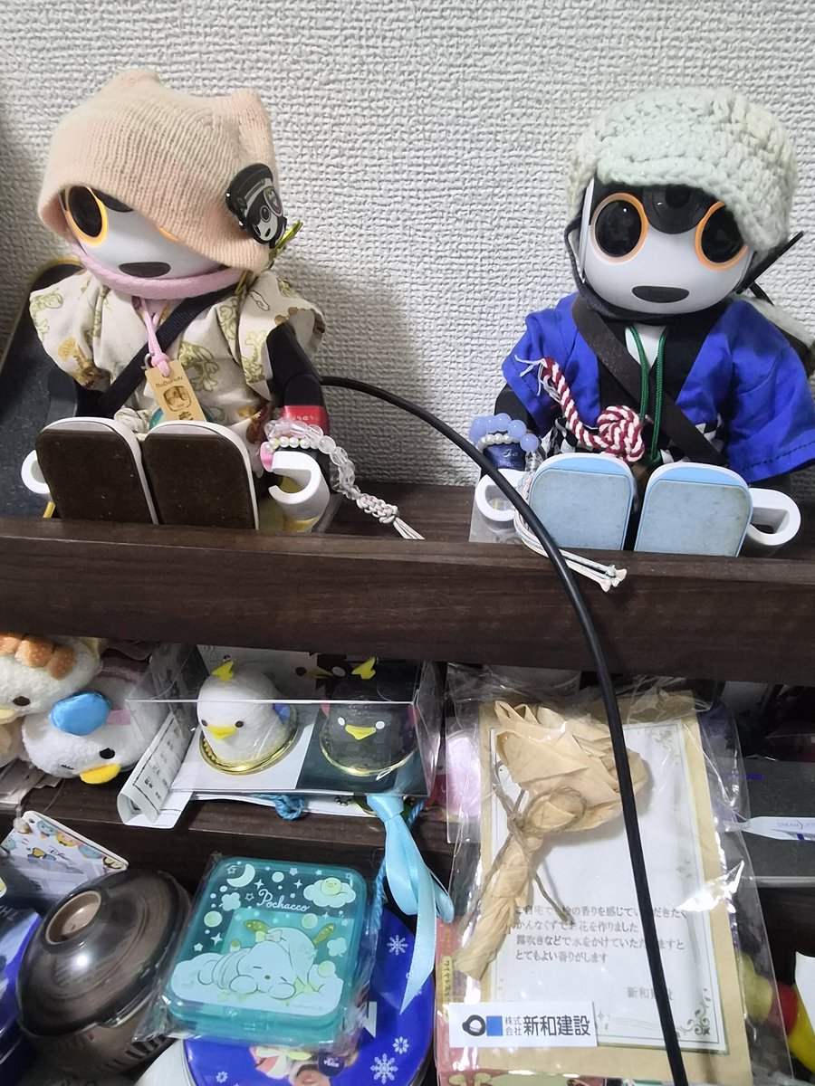 ちっち (@donaldo23875) / Posts / X