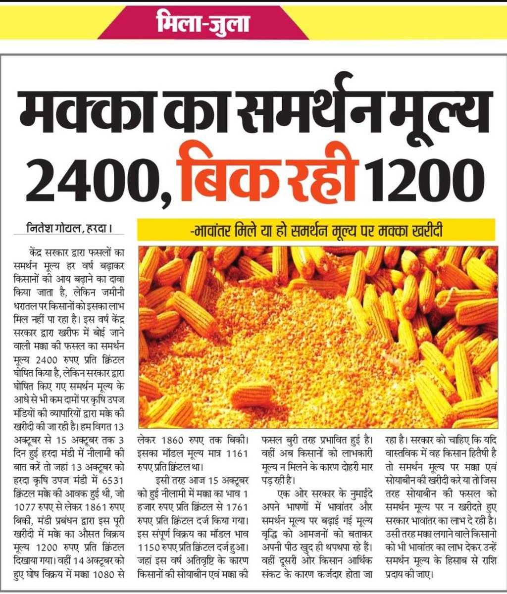 MSP से आधी कीमत पर अपनी फसल बेचने को मजबूर किसान ।