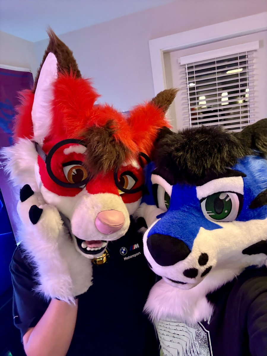 I found myself a little kitty cat!! 💙